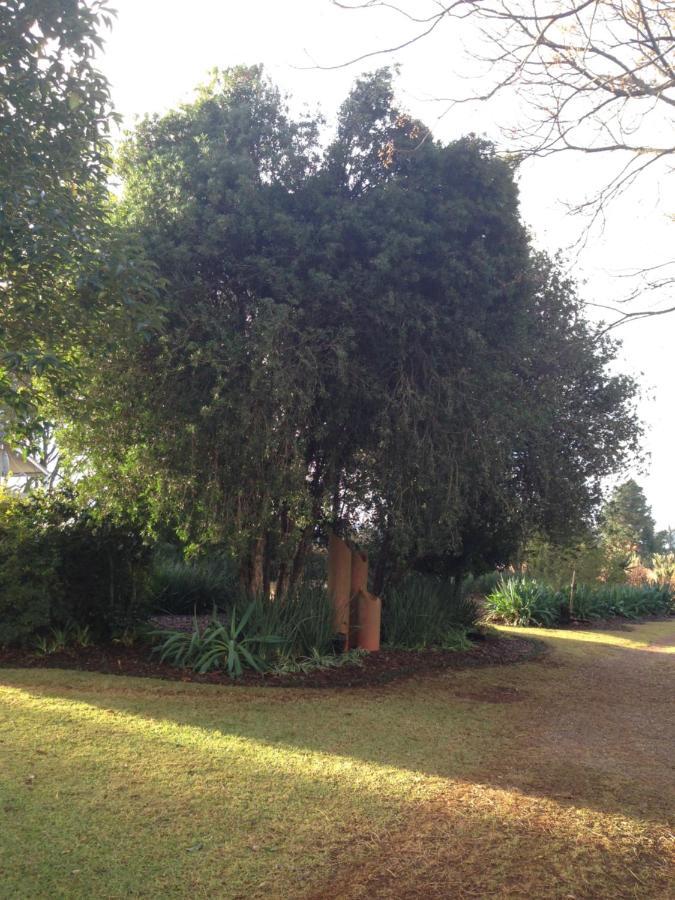 Deo Resta Guest Lodge Piet Retief Exterior photo